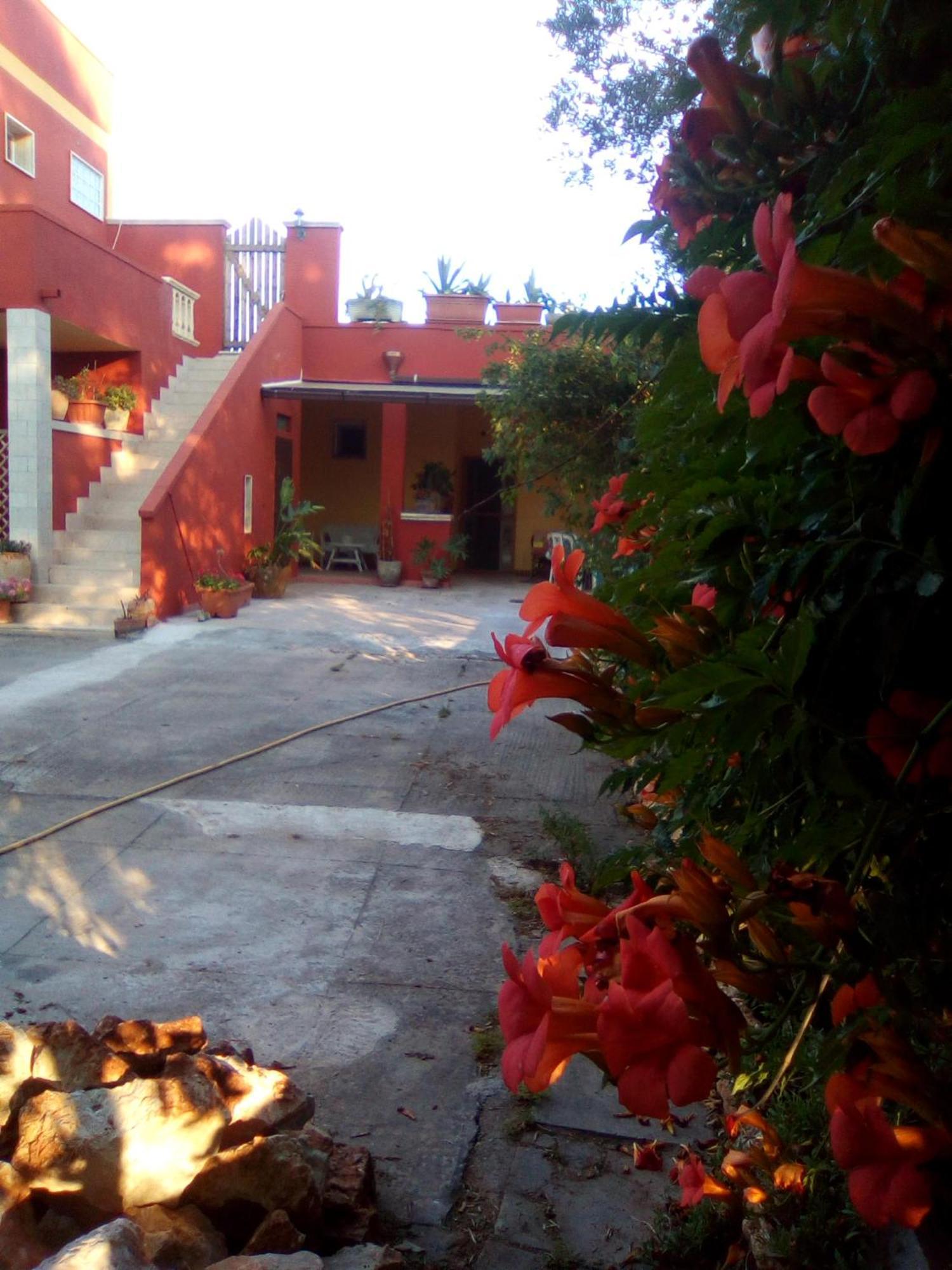 Casa Te La Bradamante Bed & Breakfast Magliano Екстериор снимка